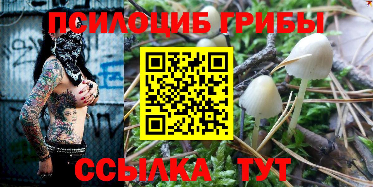 Псилоцибиновые грибы мицелий  Вход с VPN  Советск 
