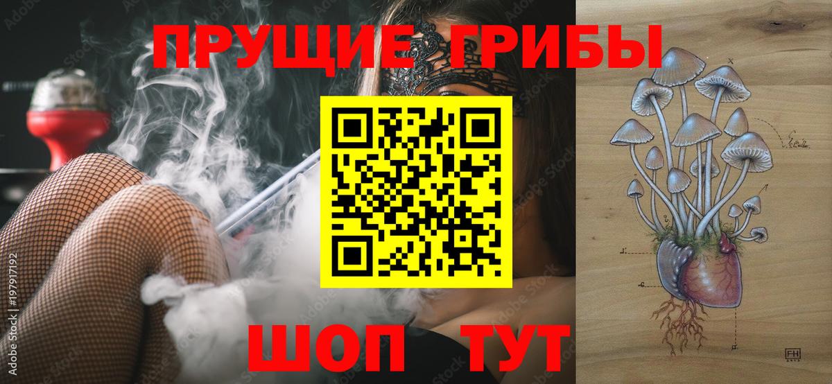 Галлюциногенные грибы мицелий Советск